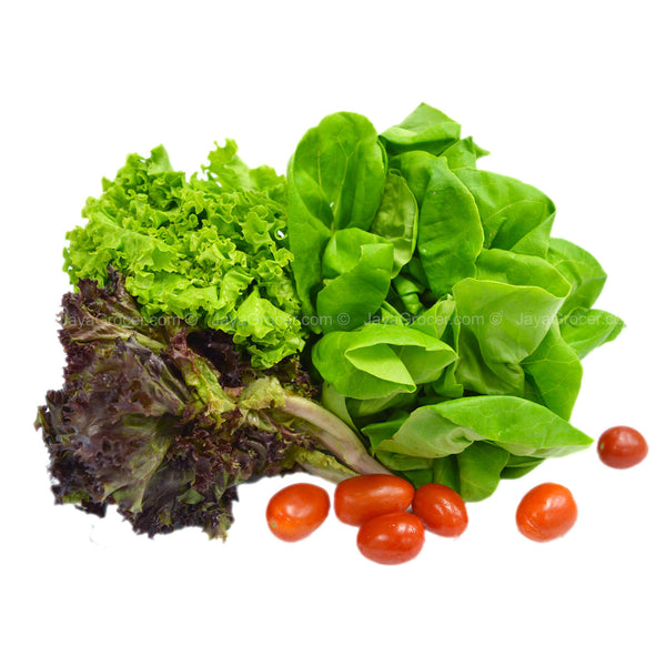 Paprika Farm Lettuce Mixed Salad (Malaysia) 230g (highest price)