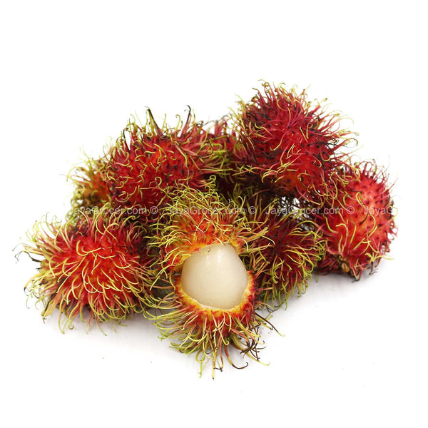Rambutan (Thailand) 500g (highest price)