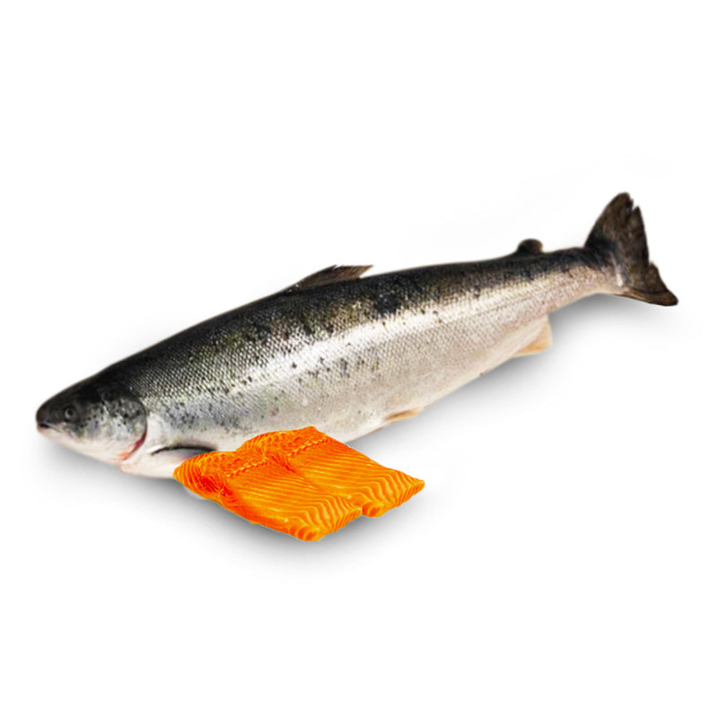 Chilled Norwegian Atlantic Salmon Fillet 200g+/-