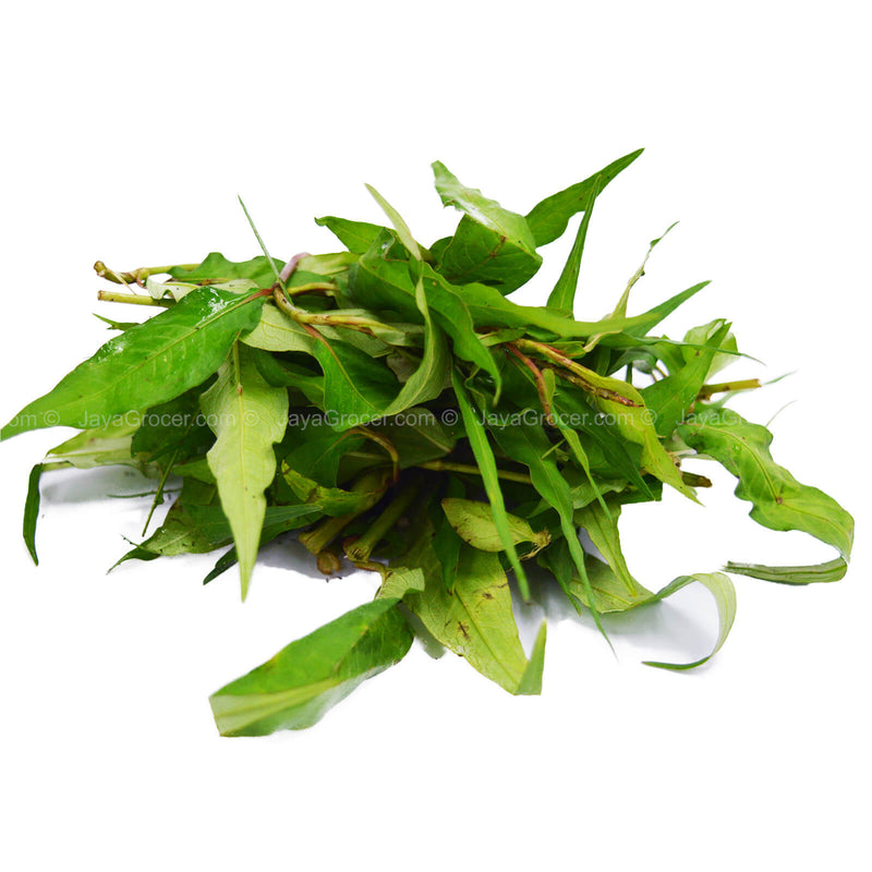 Laksa Leaf (Daun Kesum) (Malaysia) 25g