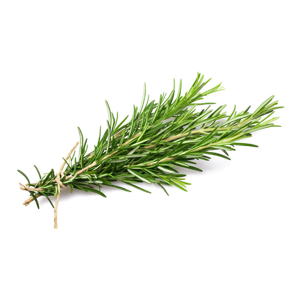 Cameron Garden Rosemary (Malaysia) 10g (highest price)