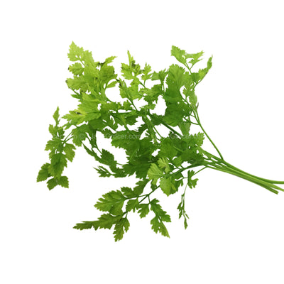 Cameron Garden Chervil Leaves 10g