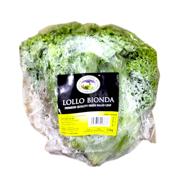 Genting Garden Lollo Bionda Lettuce 120g (highest price)