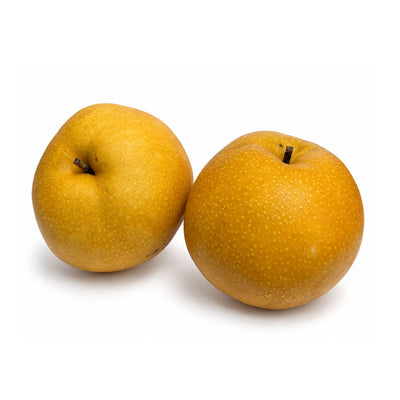 Sinco Pear (China) 1unit