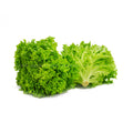 1 UNIT