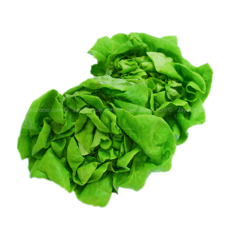 Paprika Farm Butterhead Lettuce (Malaysia) 120g