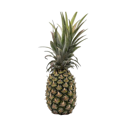Sarawak Pineapple (Malaysia) 1unit