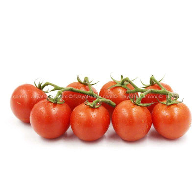 Genting Garden Cocktail Truss Tomato 8pcs/pack