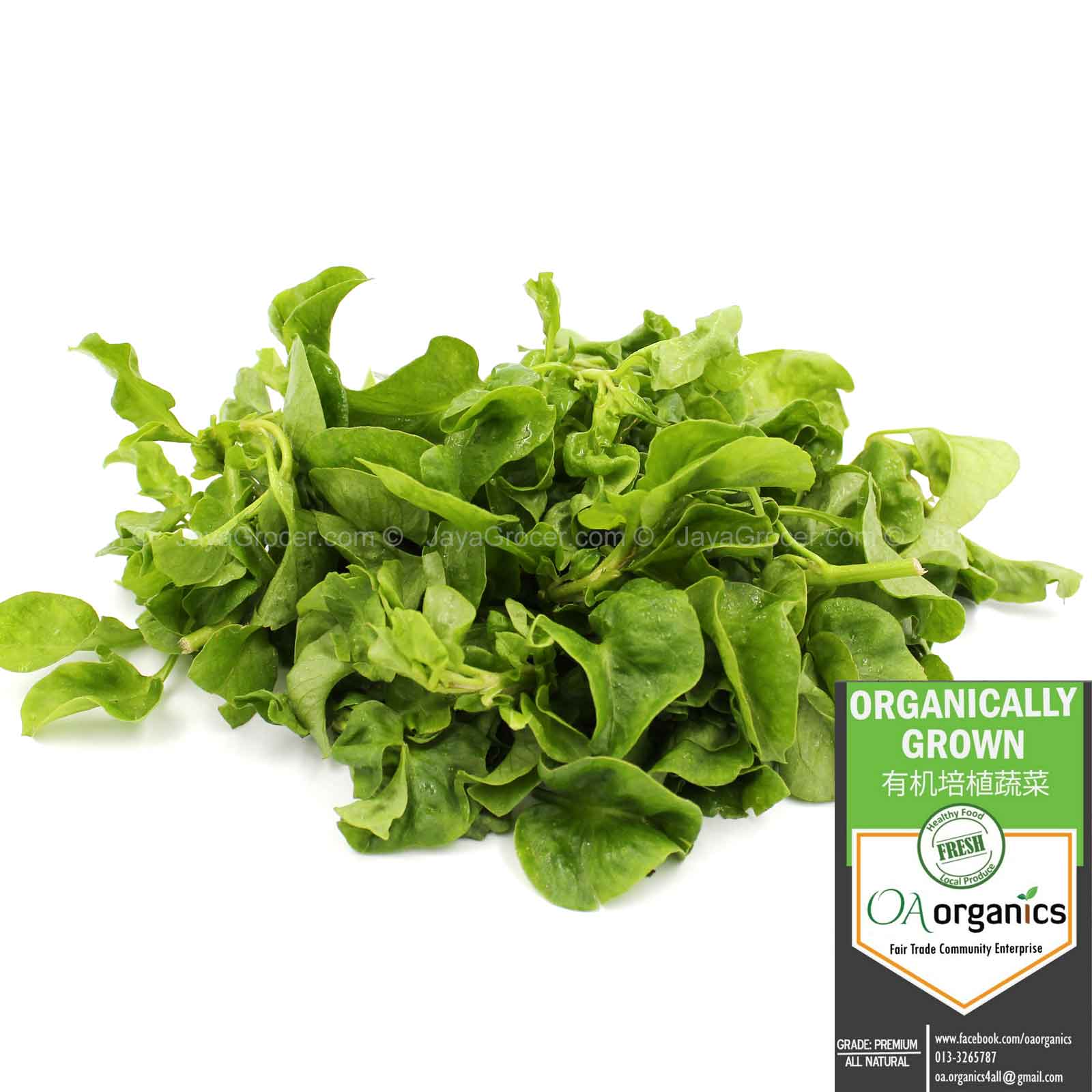 Brazilian Spinach (Malaysia) 200g
