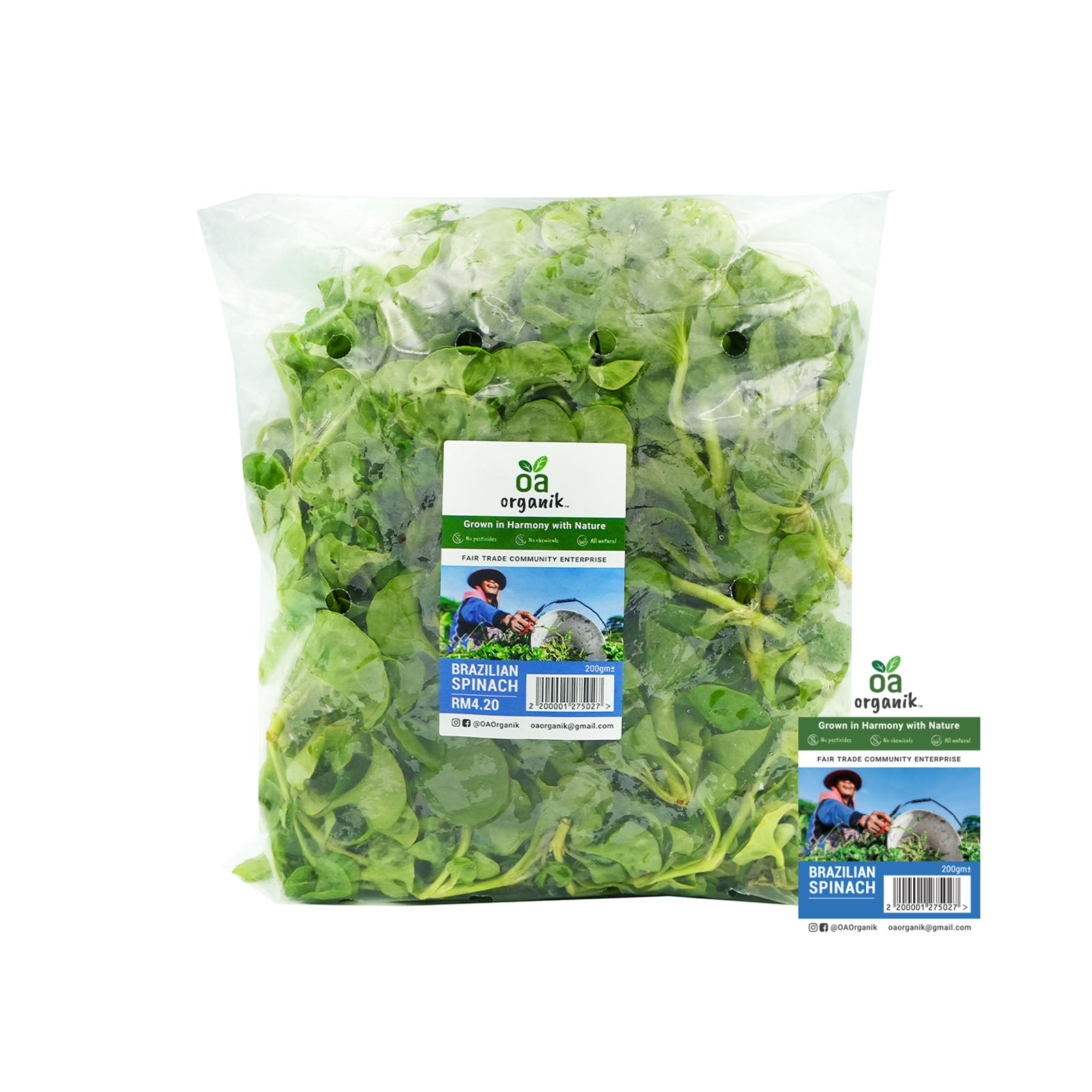 Brazilian Spinach (Malaysia) 200g
