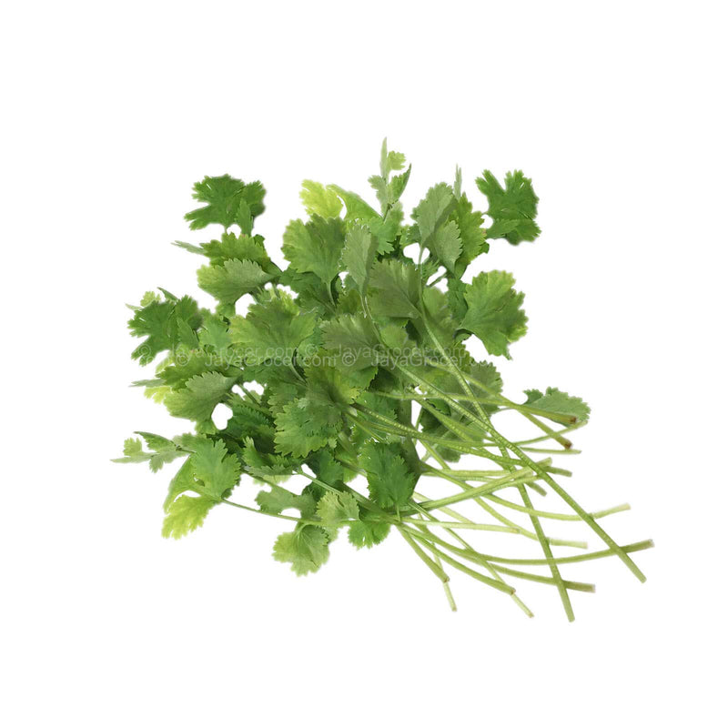 Coriander (Ketumbar) (Malaysia) 50g