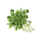 Coriander (Ketumbar) (Malaysia) 50g