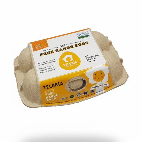 LK Fresh Free Range Eggs 6pcs/pack (highest price)