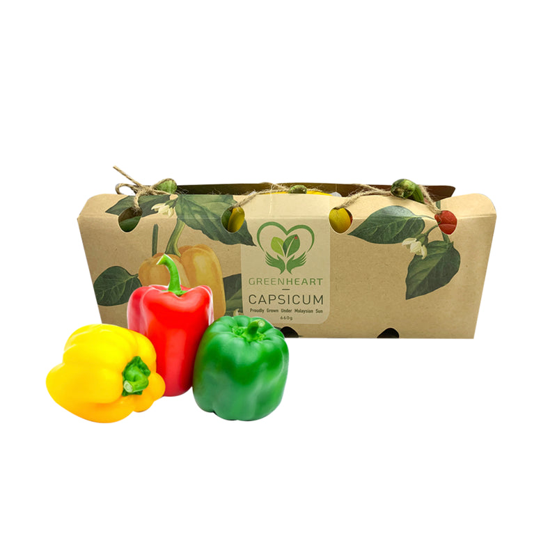 Greenheart Traffic Light Capsicum (Malaysia) 1pack