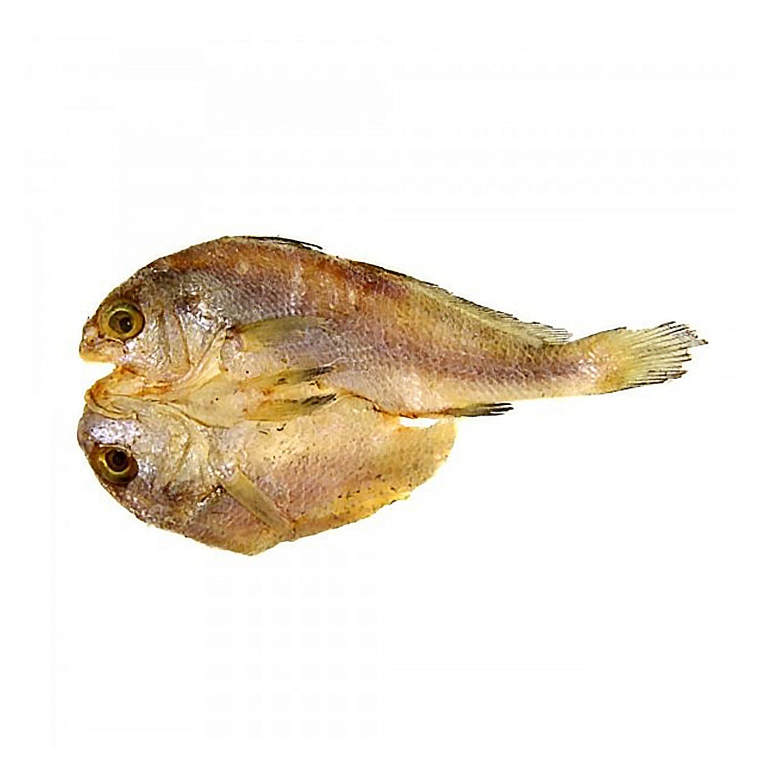 Ikan Masin Gelama Belah 200g