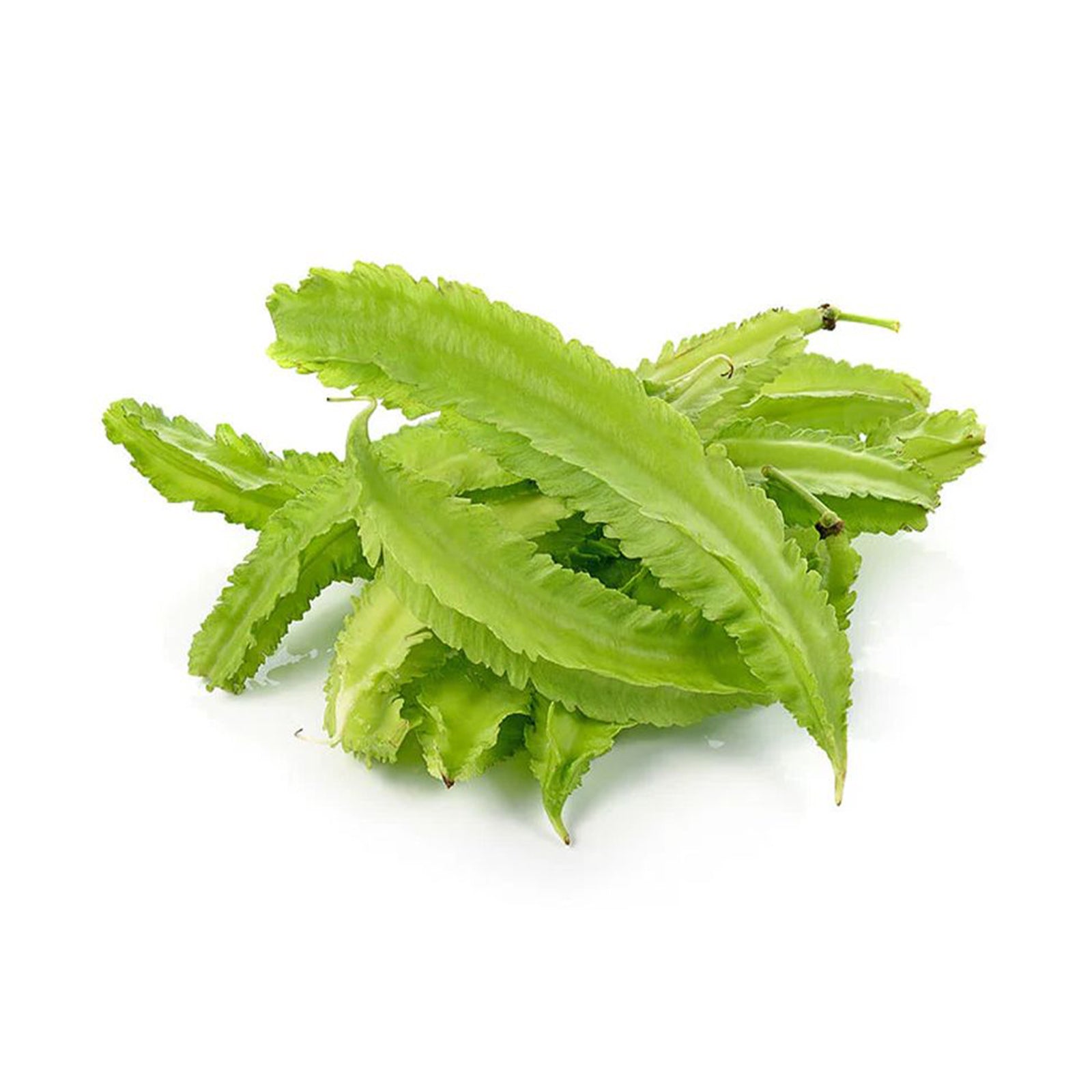 SWY ORG FOUR ANGLED BEAN 200G (MYS) P15