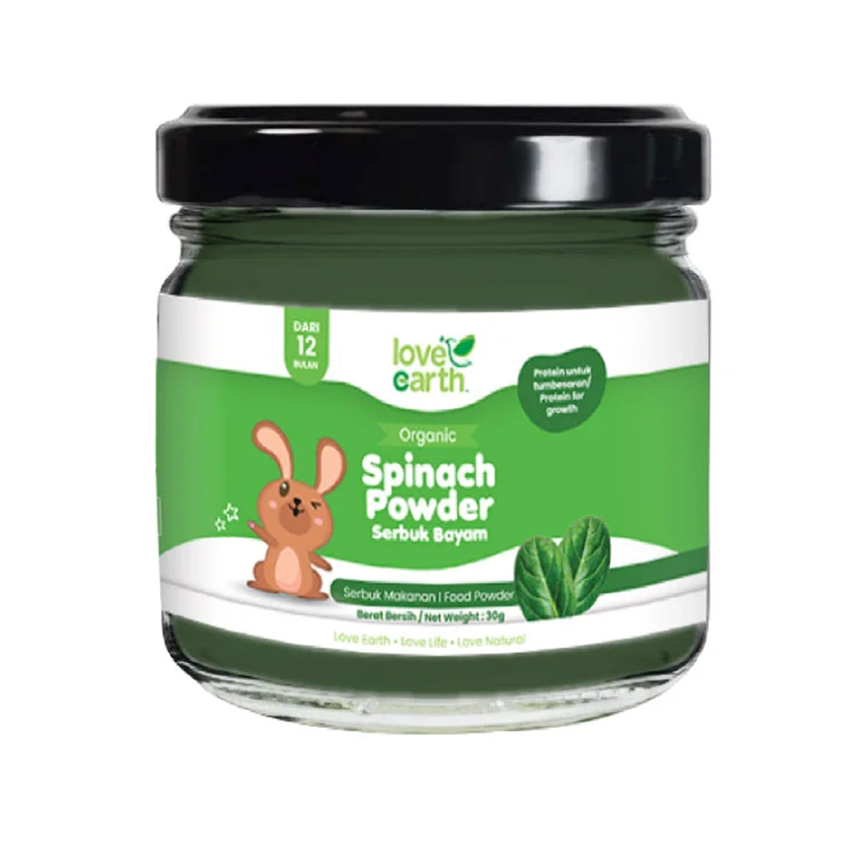 Love Earth Organic Baby Food Powder Spinach 40g