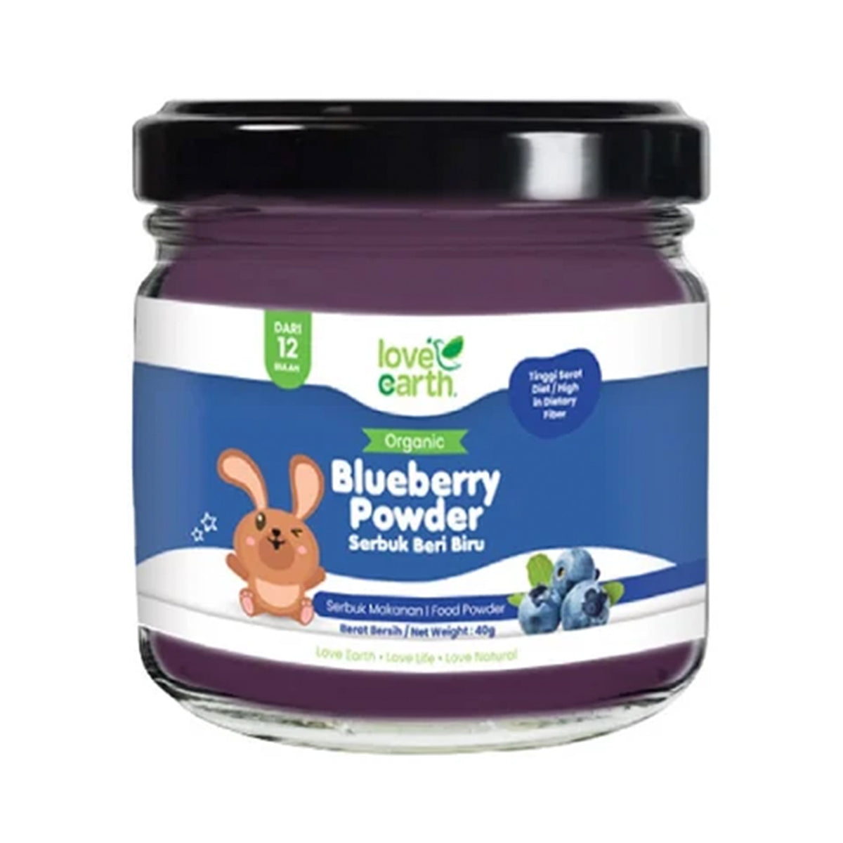 Love Earth Organic Baby Food Powder Blueberry 40g