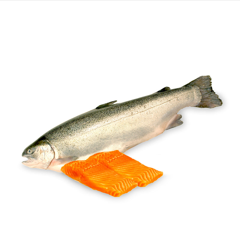 Norwegian Fjord Trout Fillet 200g+/-