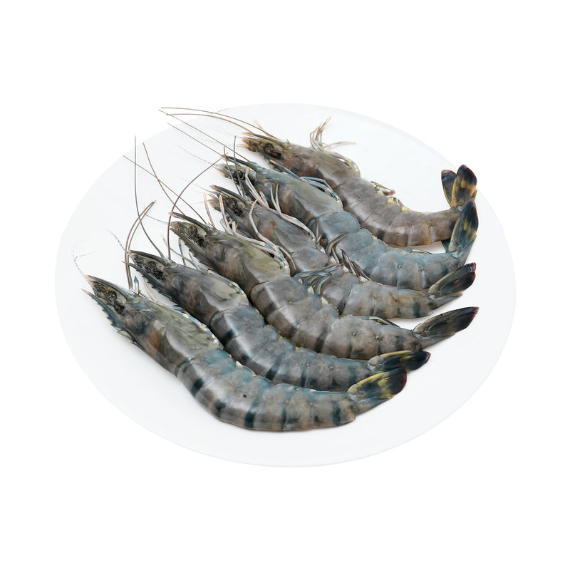 Tiger Prawn/ Udang Harimau XL 300g+/-