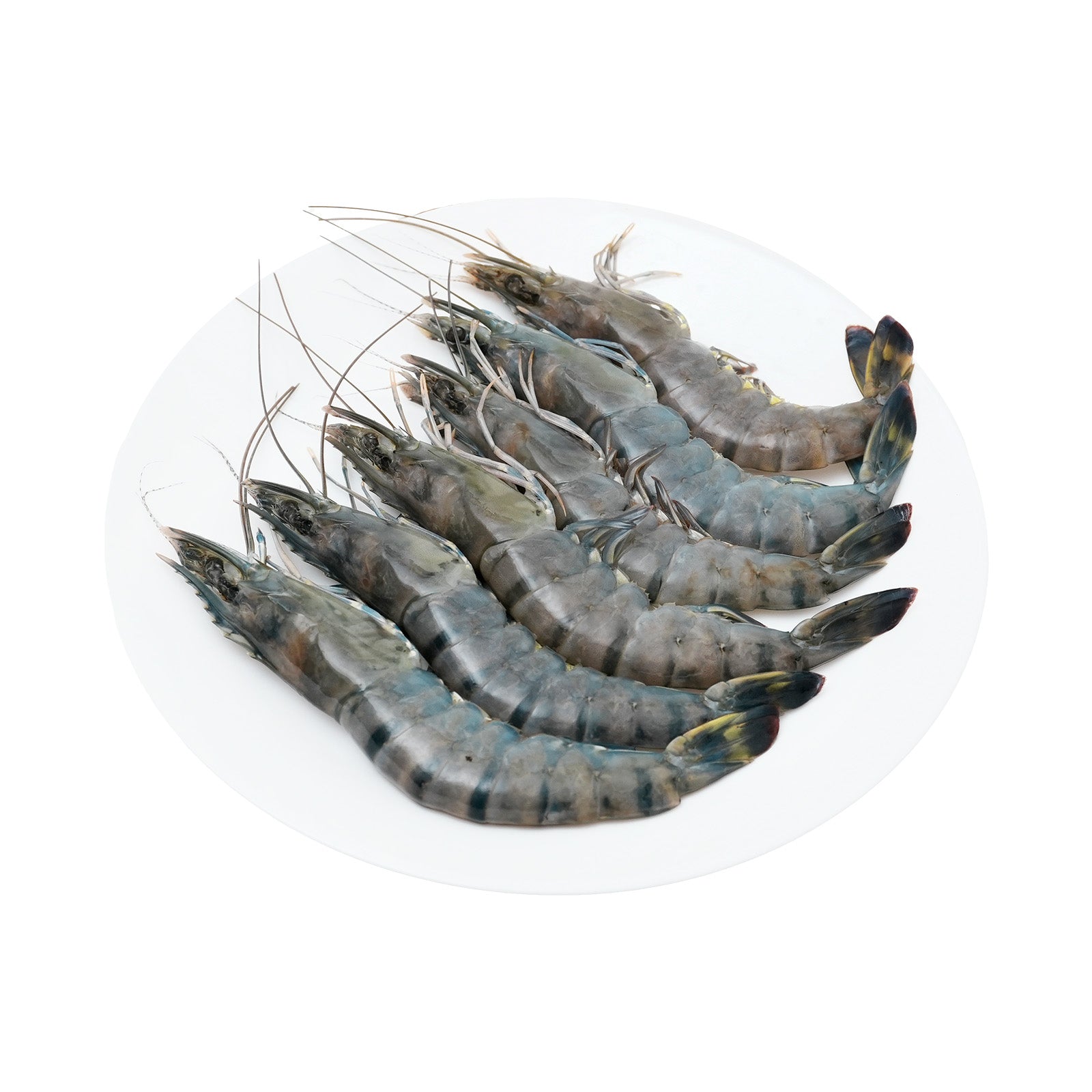 Tiger Prawn/ Udang Harimau XL 300g