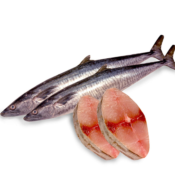 Ikan Tenggiri Block 350g (highest price)
