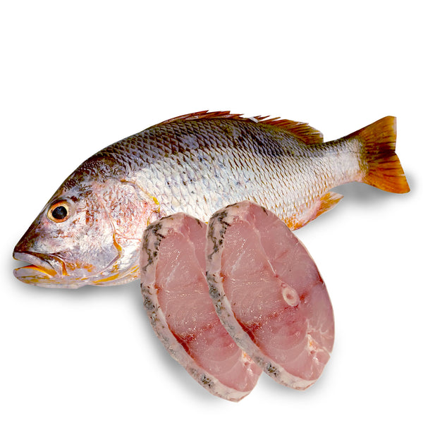 Ikan Jenahak Block 350g (highest price)