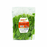 Yong Kah Sayur Raja Baby (Malaysia) 200g