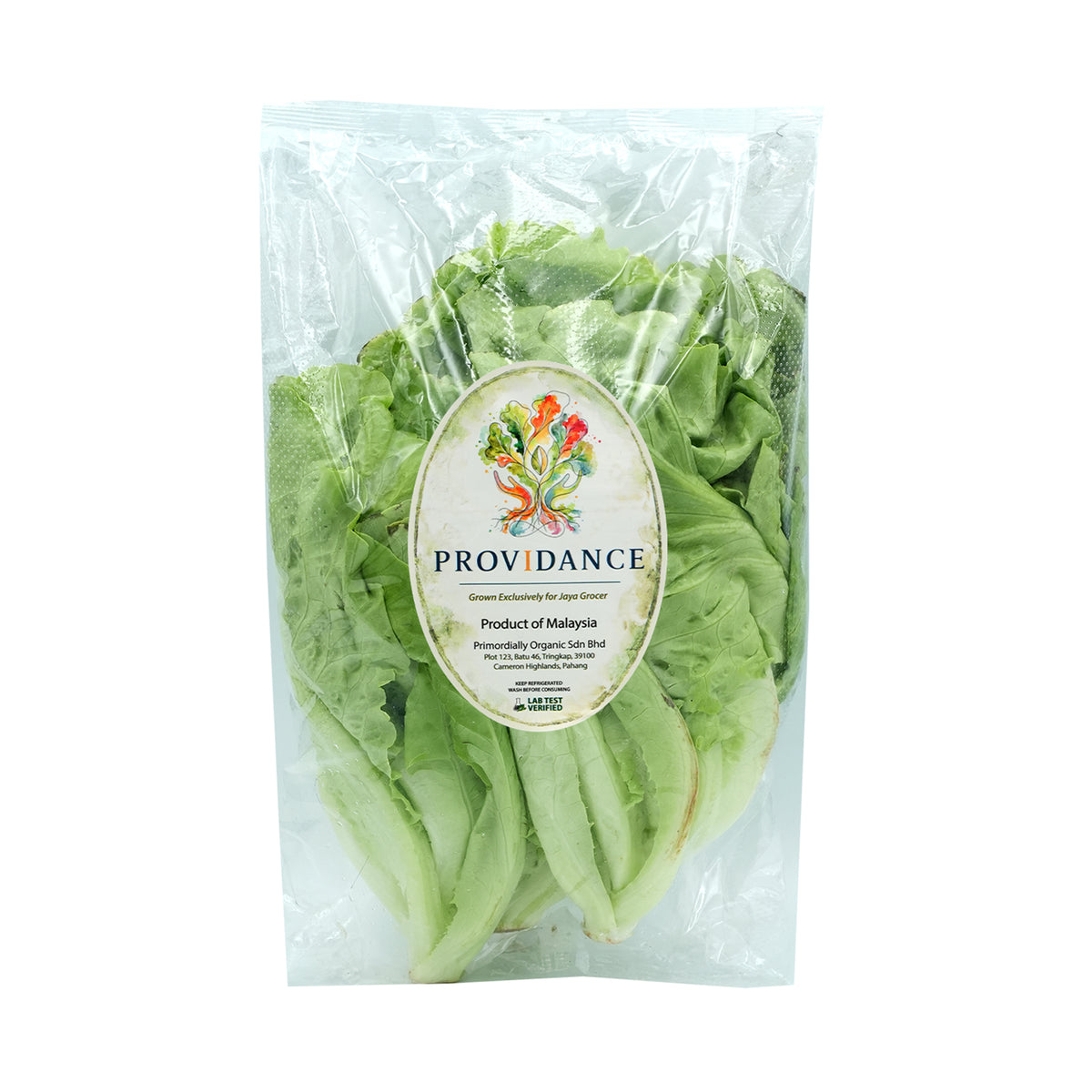 Providance Lettuce Italy (Pesticide Free) 250g