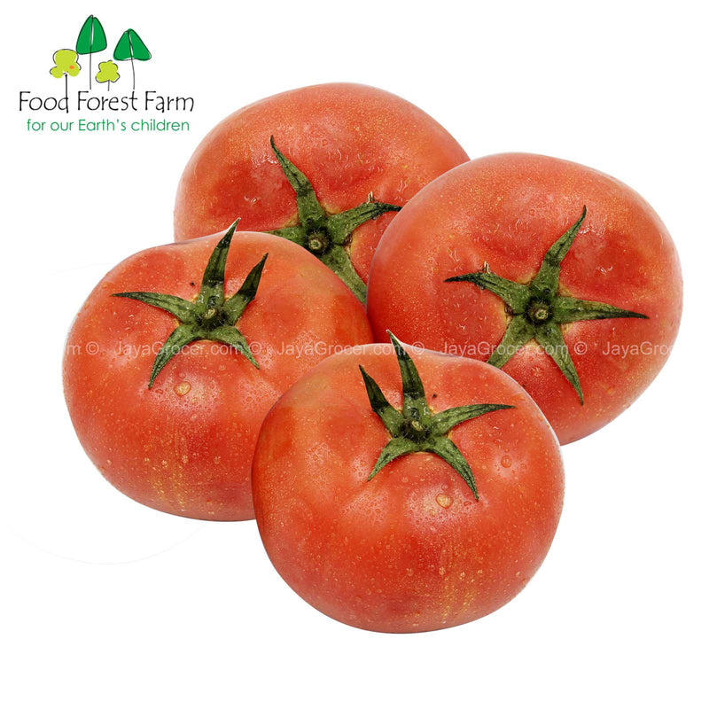 Food Forest Farm Tomato (MYS) 1pack