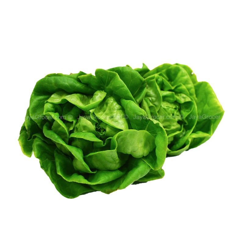 Cameron Garden Butterhead (Malaysia) 250g