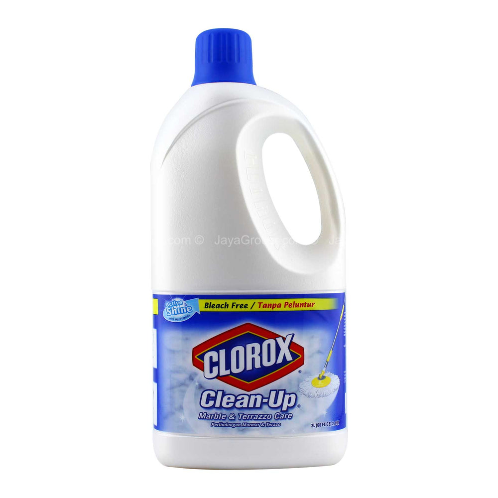 CLOROX CLEAN UP MARBLE & T/CARE 2LIT*1
