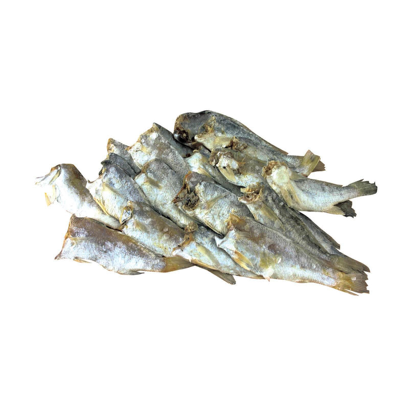Salted Gelama (Ikan Masin Gelama Belah)