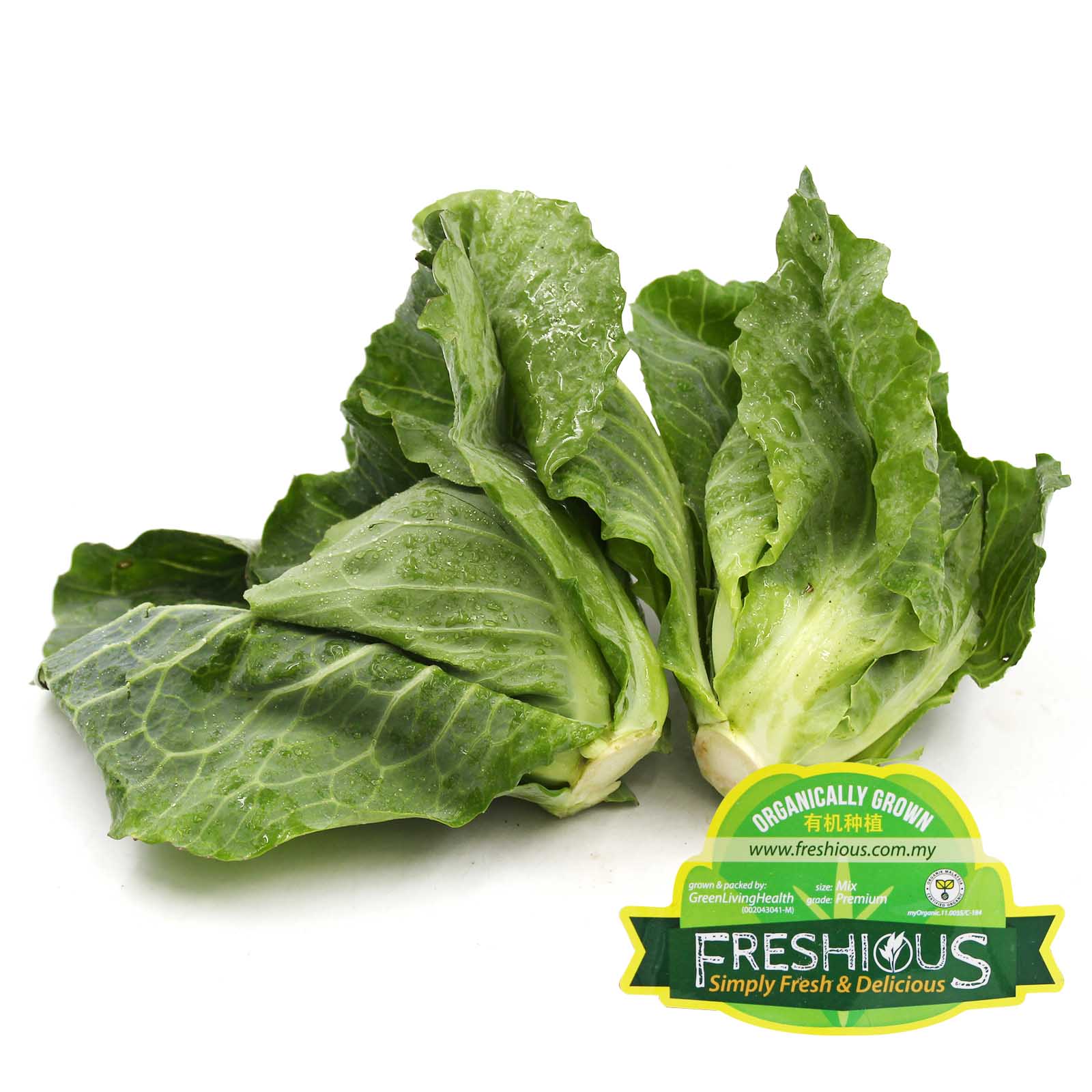 Freshious Organic Cabbage Shoot 250g