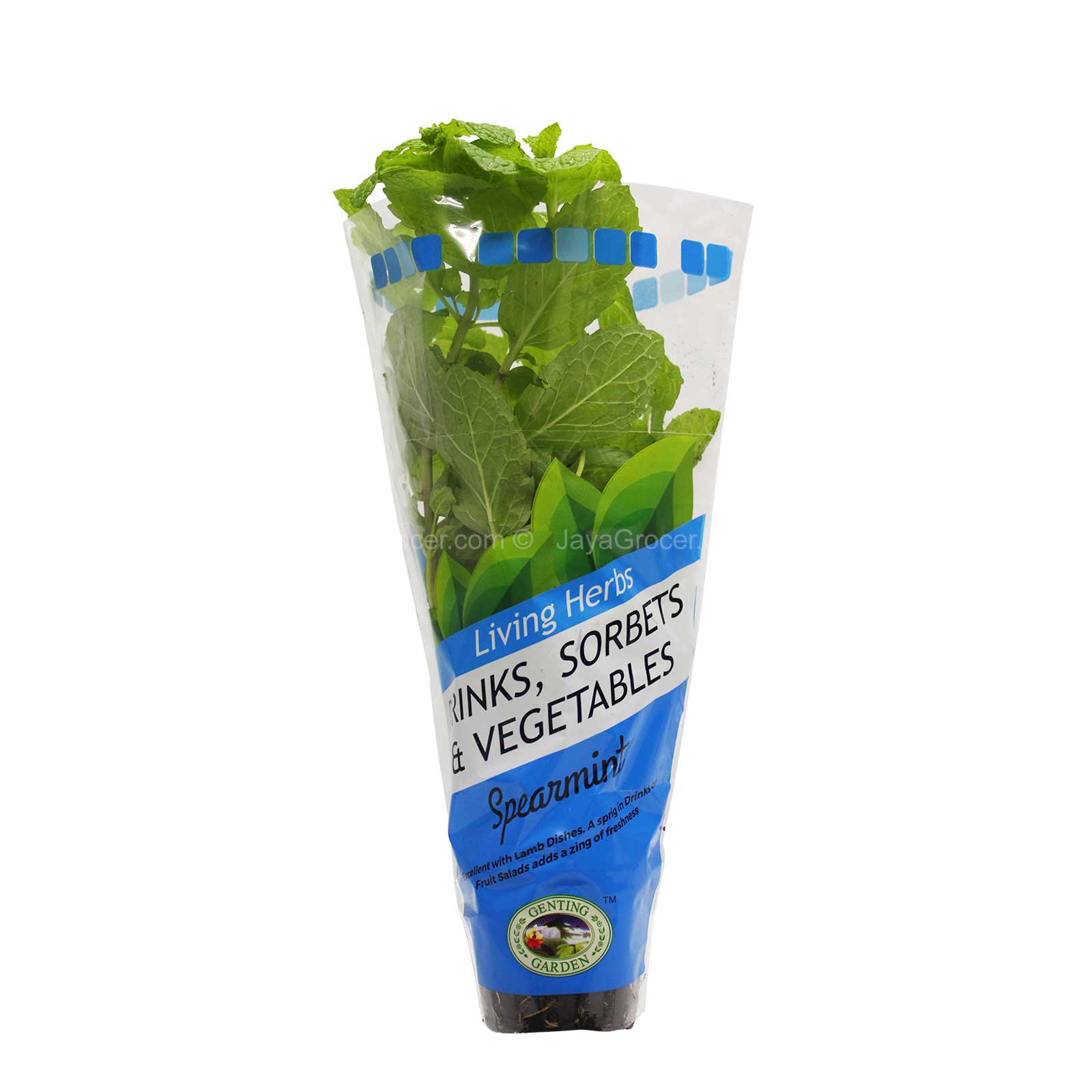 Genting Garden Living Herbs Drinks, Sorbets and Vegetables Spearmint 1pack