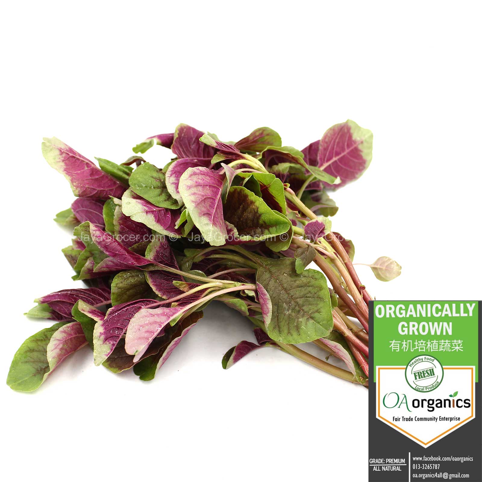OA SPINACH-RED 250G (MYS)