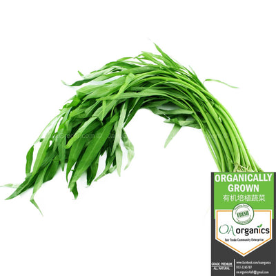 OA Organics Kangkung (Water Spinach) 250g
