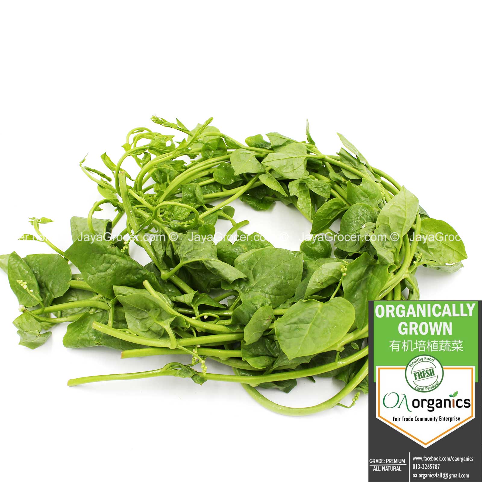 OA Organics Malabar Spinach 250g