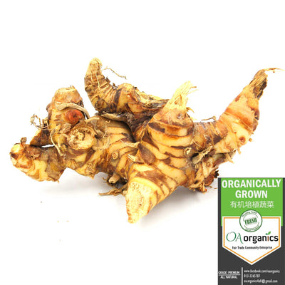 (B) OA GINGER-GALANGAL (LENGKUAS) 100G (MYS)